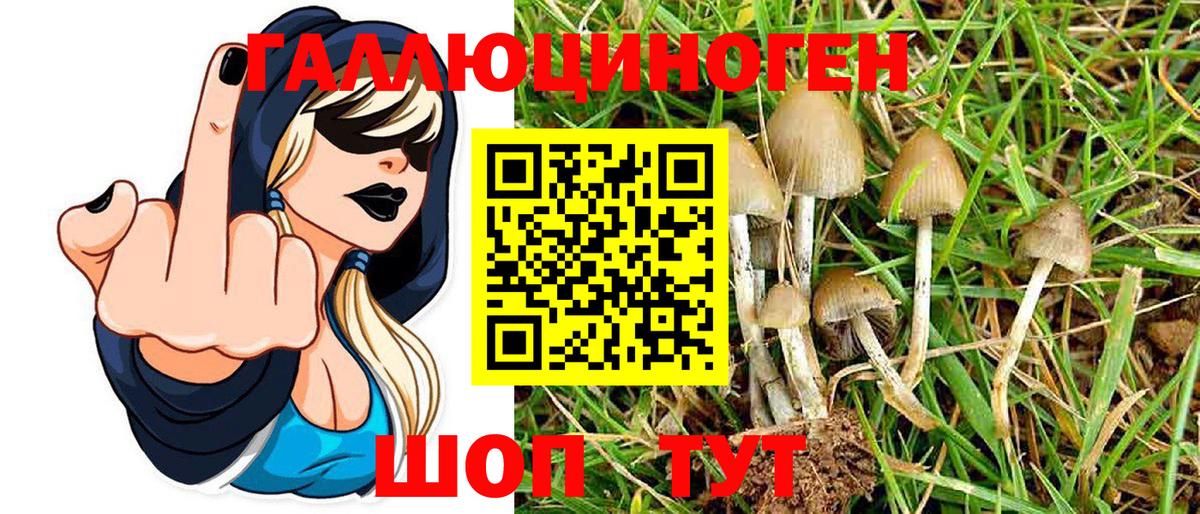 Псилоцибиновые грибы Psilocybe  Жигулёвск 