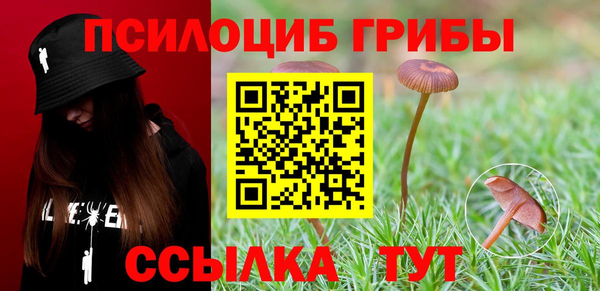 Псилоцибиновые грибы мухоморы Жигулёвск